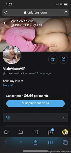 vixenvixie Nude Leaks OnlyFans Photo 14