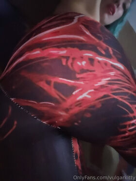 vulgarkitty