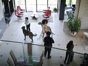 Shauna Harley Nude - Law & Order Organized Crime s01e07 (2021)