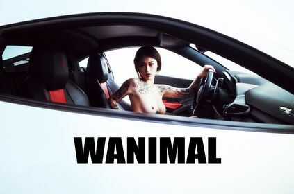 Wanimal Models