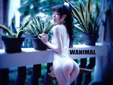 Wanimal Models Nude Leaks OnlyFans Photo 36