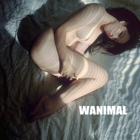 Wanimal Models