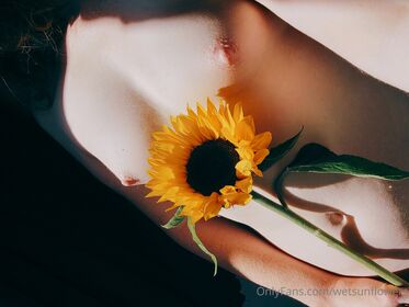 wetsunflowers Nude Leaks OnlyFans Photo 3