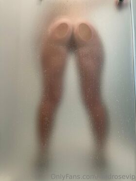 wildrosevip Nude Leaks OnlyFans Photo 11