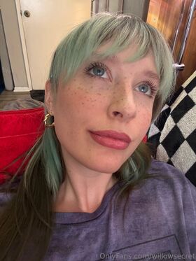 willowsecret Foto vazada OnlyFans nua 2