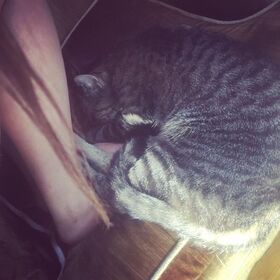 Xenia Hellenic Goddess