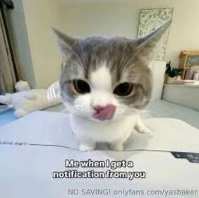 yasbaker Nøgne lækkede OnlyFans foto 436