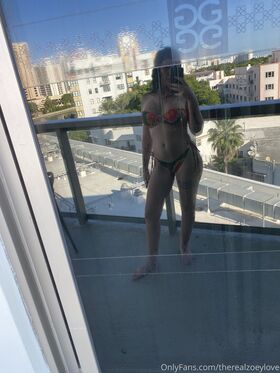 Zoey Love Nude Leaks OnlyFans Photo 83